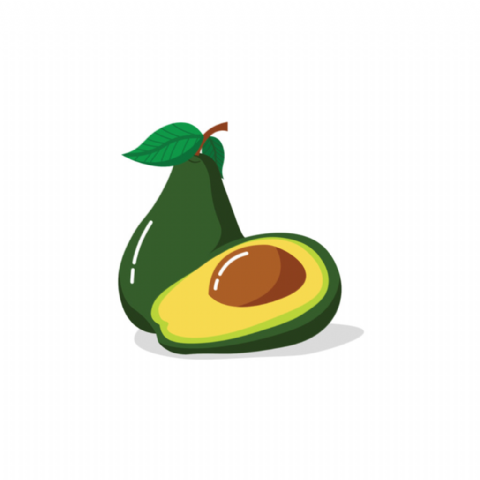 Avocat