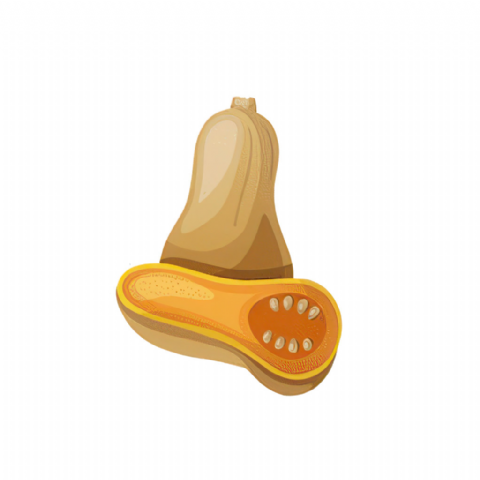 Butternut