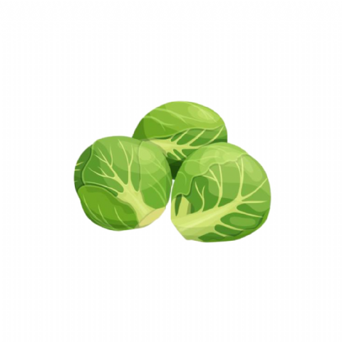 Choux Chou de bruxelles