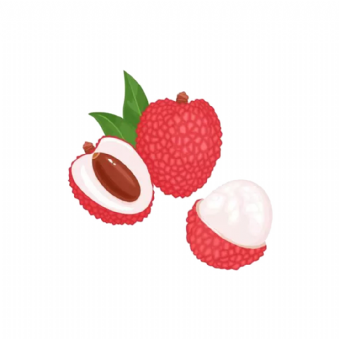 Litchi