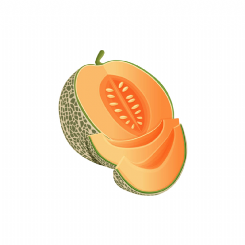 Melon