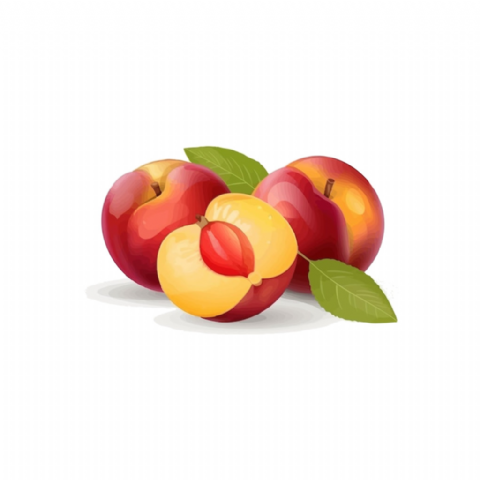 Nectarine
