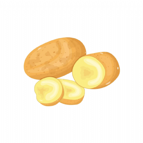 Pomme de terre Charlotte