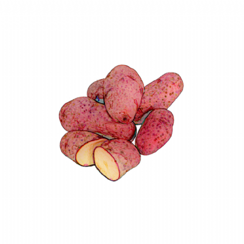 Pomme de terre Roseval