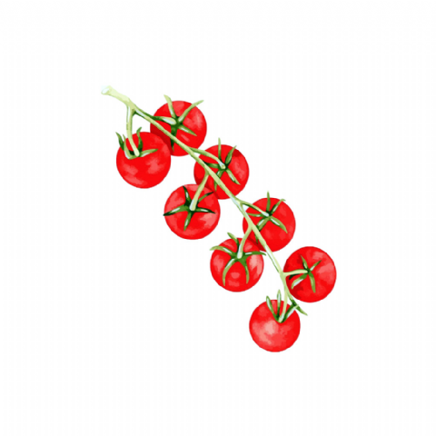 Tomate Cerise