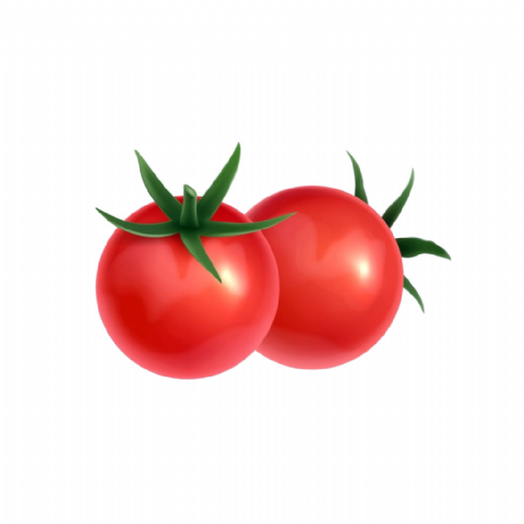 Tomate Pleine terre